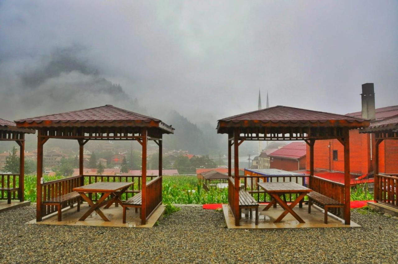 Anemo Suite Uzungöl Exterior foto