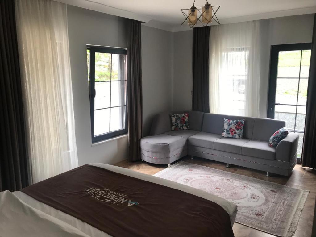 Anemo Suite Uzungöl Exterior foto
